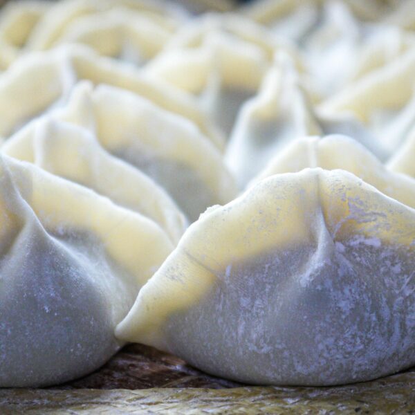 Ile kalorii ma pierożek gyoza na 100 g?